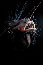 The Creepy Anglerfish Comes To Light Just Dont Get Too