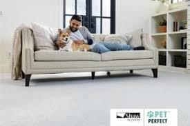 pet perfect carpet for pet protection