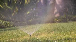 The 10 Best Lawn Sprinklers In 2022