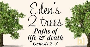 Eden's two trees: Paths of life and death (Genesis 2–3) – Hallel Fellowship