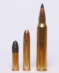 22wmr And 17hmr Vs 223 Remington The Hunting Gear Guy