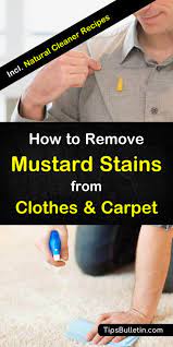 remove mustard stains from clothes carpet