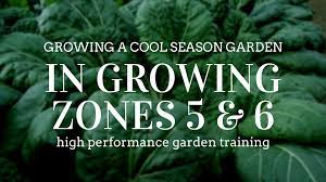 Growing A Cool Season Garden In Zones 5 6