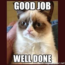 49 great job memes ranked in order of popularity and relevancy. Grumpy Cat Good Job Grumpy Cat