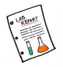 high school lab report example lab report template tloz dft png