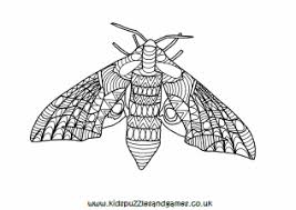 Welcome to free coloring daily! Moths Colouring Sheets Kids Puzzles And Games