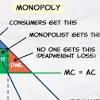 Advantages of Monopoly