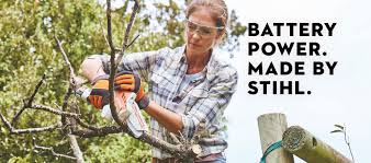 stihl gta 26 battery pruning saw