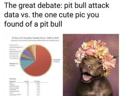 The Great Debate Pit Bull Attack Data Vs The One Cute Pic