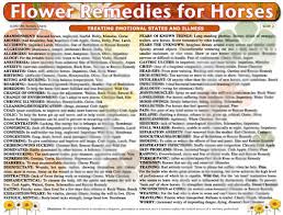 Woofs Hoofs Animal Massage Webshop Equine Flower