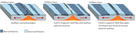 magnetics polarity dive discover