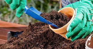How To Potting Soil The Right Way