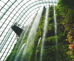 dining guide to gardens by the bay