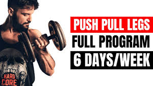 day workout plan build muscle faster