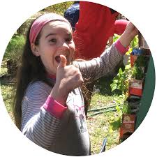 Visit a theme in the nutrition section to find activities and lesson plans that include easy instructions and a list of materials needed. Gardening Basics Teaching Nutrition In The Garden Kidsgardening