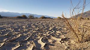 Image result for dried riverbed in death valley