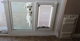 Pet Door For Small Pets Ideal For Your