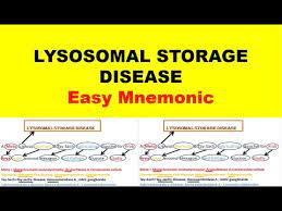 lysosomal storage disease easy