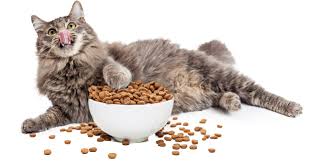 However, cats that live indoors all the. Find Out What The Best Cat Food Weight Loss Is Here