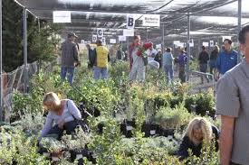 annual fall planting festival at