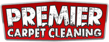 premier carpet cleaning professional