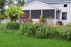 Low Maintenance Landscaping With