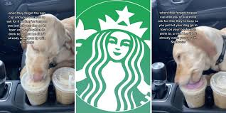 does-starbucks-have-a-pup-cup