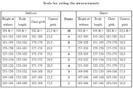 Measurement Table Indianculture Co