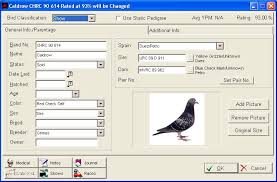 Power Pigeon Software