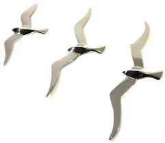 Large Flying Seagull Birds Seagulls