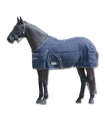 horse rugs for every weather occasion