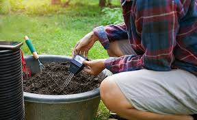 How To Improve Soil In Flower Beds