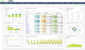 Sage Intacct Dimensions Tracking Revenue Expenses And