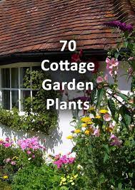 70 Of The Best Cottage Garden Plants