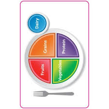 Usda Food Plate Educational Laminated Chart