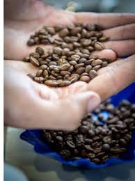 Now let's take a look at some of the finest dark beans that make the best dark coffee. Coffee Blend The Art Of Mixing And Roasting Different Coffee Beans