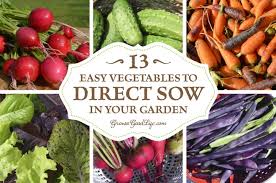 If there is no outlet for drainage, be sure to place small holes in the bottoms of your chosen container beforehand. 13 Easy Vegetables To Direct Sow