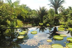 naples botanical garden is one of the