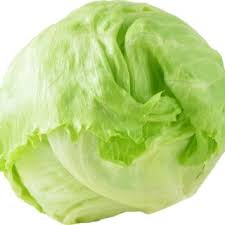erhead lettuce vs iceberg lettuce