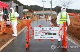 Newly Confirmed Avian Influenza Cases in Cats Mark First Incident in South Korea in 7 Years - 1
