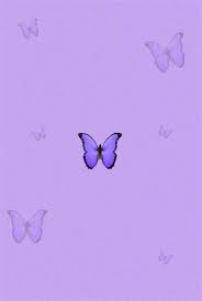 A collection of the top 47 aesthetic butterfly wallpapers and backgrounds available for download for free. Butterfly Clouds In 2020 Butterfly Wallpaper Iphone In 2021 Purple Butterfly Wallpaper Butterfly Wallpaper Butterfly Wallpaper Iphone