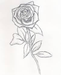 Rose drawing beautiful pencil drawings of roses pictures sketch a gif. Beautiful Pencil Drawings Of Roses Novocom Top