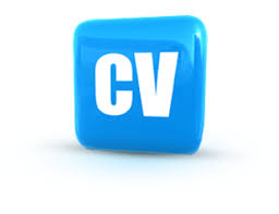Professional Cv Writing Services Kenya   Professional resumes     Iembd de