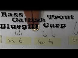 Hook Size To Use For Bass Crappie Catfish Bluegill Walleye Trout Fishing
