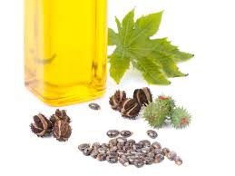 Castor Oil And Constipation Uses Doses And Cautions