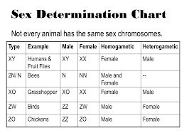 Sex Linkage And Sex Determination Ppt Download