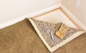 mold damage can destroy your carpets