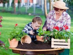 Gardening Gifts For Grandma Lettuce