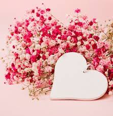 love flower images free on