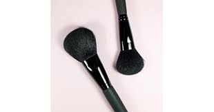 blusher makeup brushes makeup brush sets